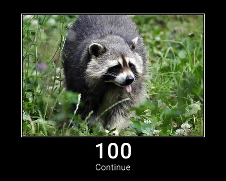 100 Continue