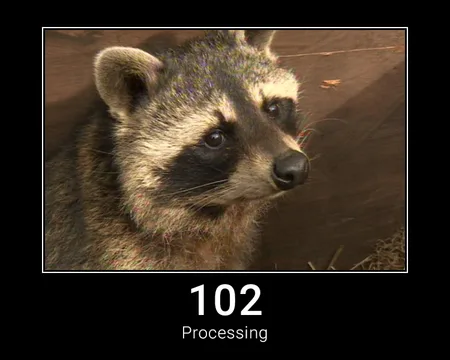 102 Processing