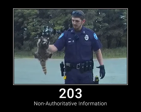 203 Non-Authoritative Information