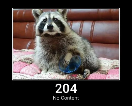 204 No Content