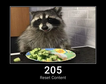 205 Reset Content