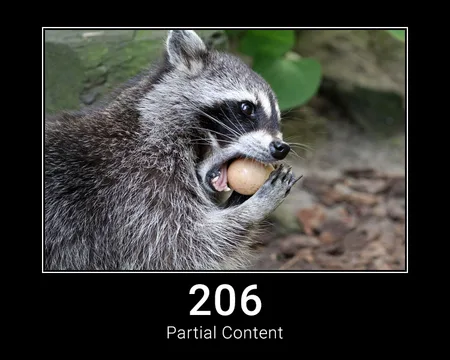 206 Partial Content