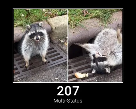 207 Multi-Status