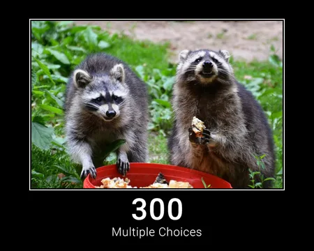 300 Multiple Choices