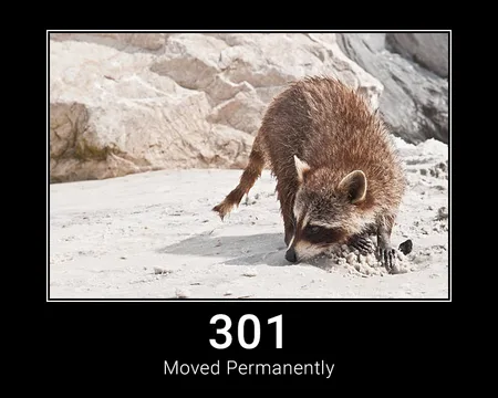 301 Moved Permanently