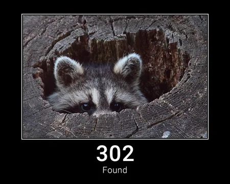 302 Found