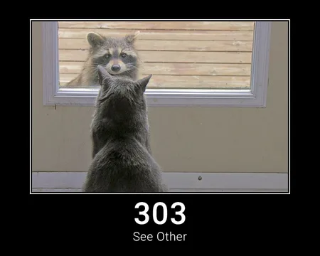 303 See Other