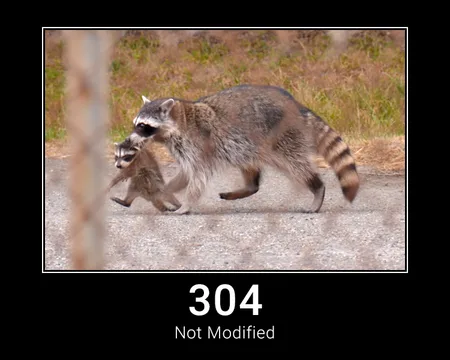 304 Not Modified