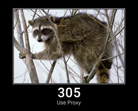 305 Use Proxy