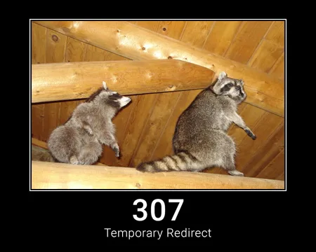 307 Temporary Redirect