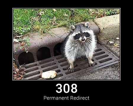 308 Permanent Redirect