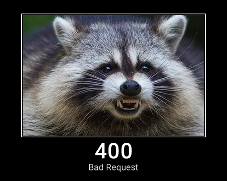 400 Bad Request