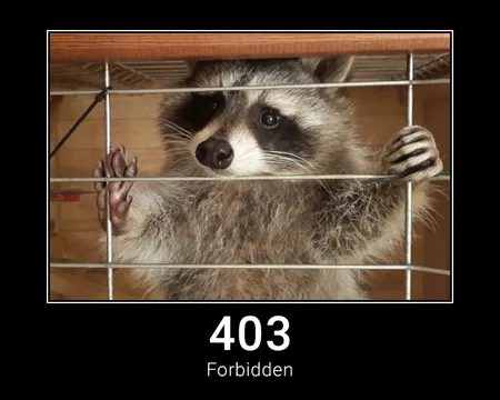 403 Forbidden