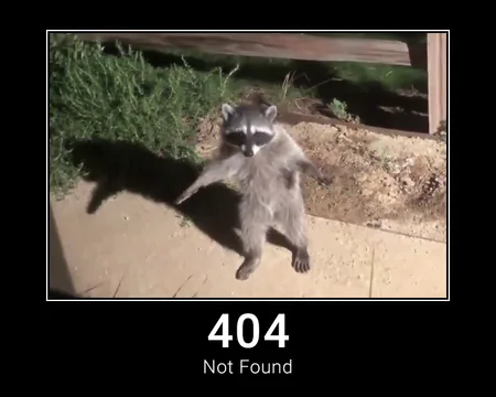 404 Not Found