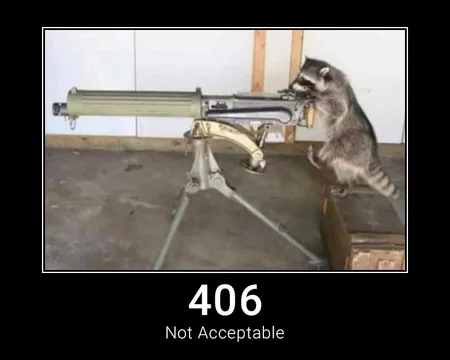 406 Not Acceptable