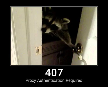 407 Proxy Authentication Required