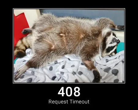 408 Request Timeout