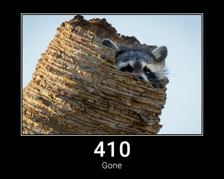 410 Gone