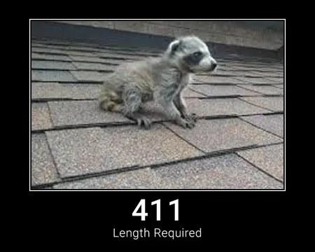 411 Length Required