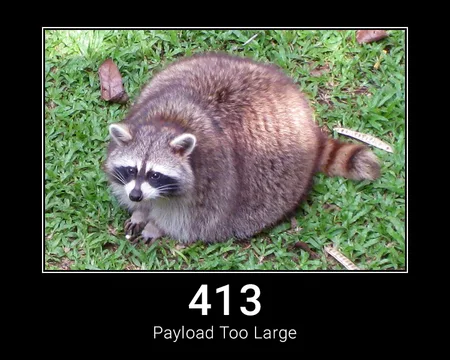 413 Payload Too Large
