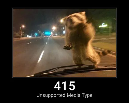 415 Unsupported Media Type