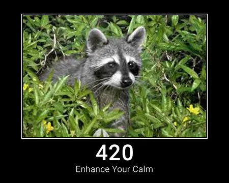 420 Enhance Your Calm
