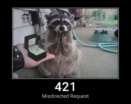 421 Misdirected Request