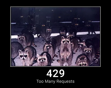 429 Too Many Requests