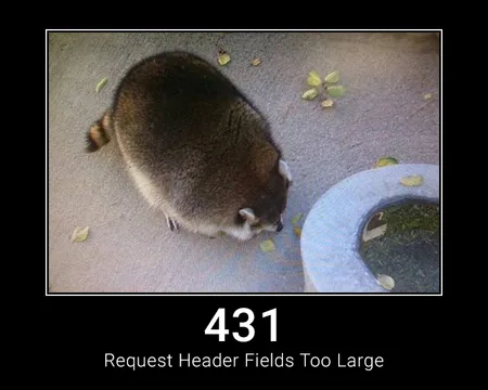 431 Request Header Fields Too Large