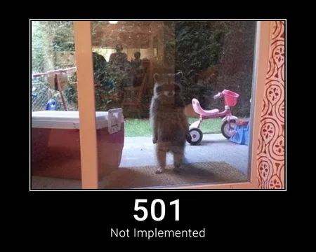 501 Not Implemented