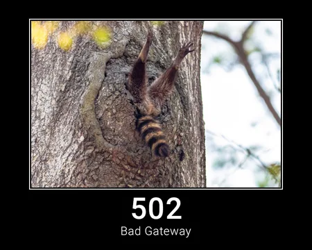 502 Bad Gateway