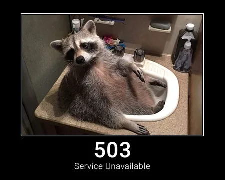 503 Service Unavailable