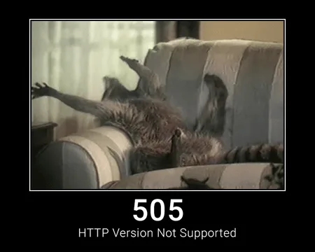 505 HTTP Version Not Supported