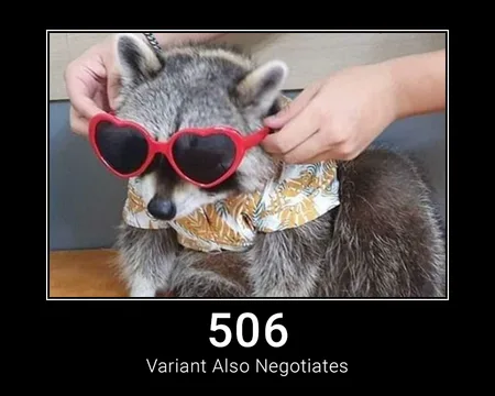 506 Variant Also Negotiates
