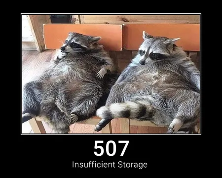 507 Insufficient Storage