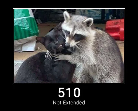 510 Not Extended